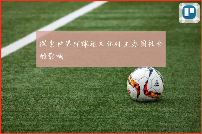 探索世界杯球迷文化对主办国社会的影响