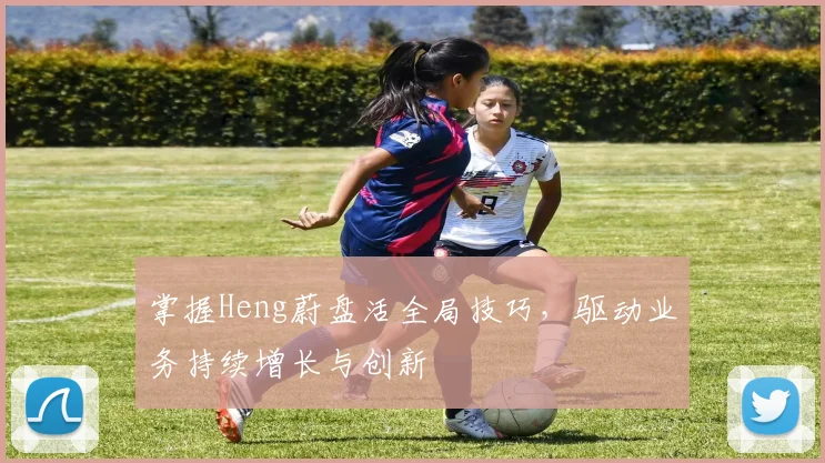 掌握Heng蔚盘活全局技巧，驱动业务持续增长与创新